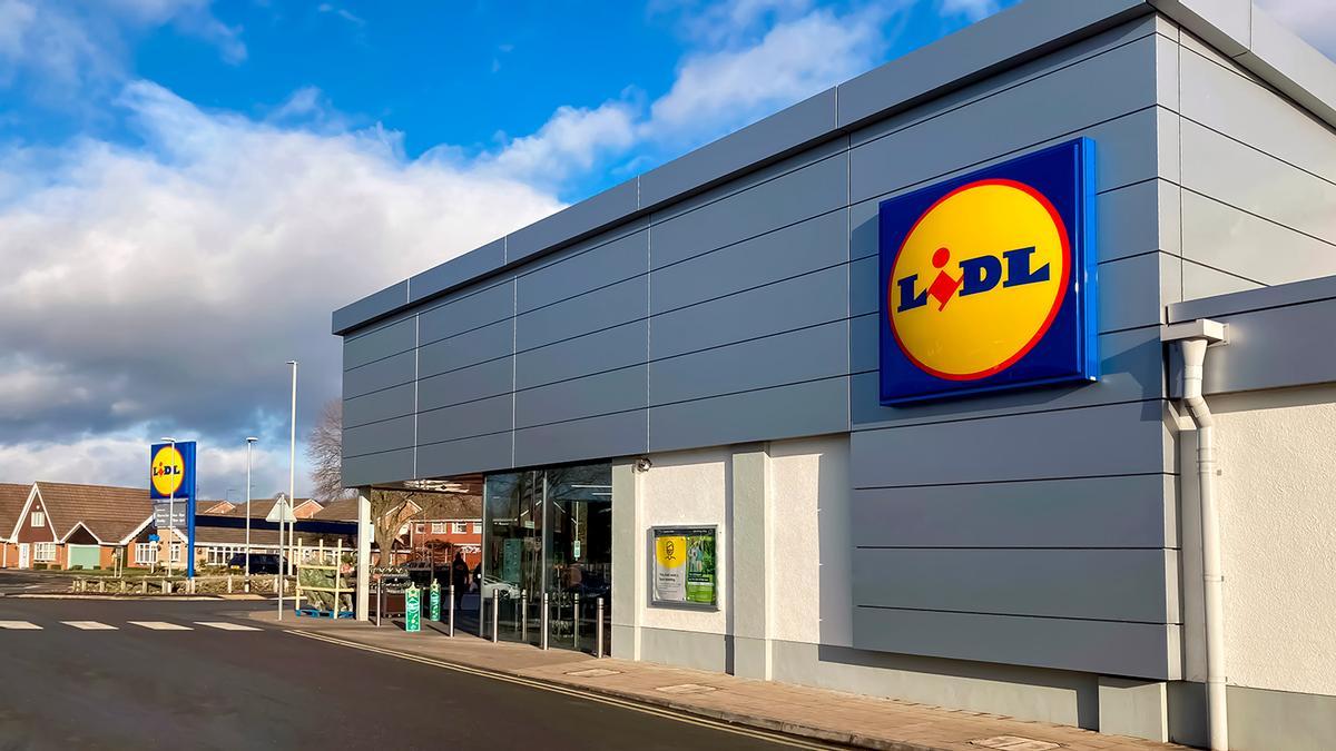 Mañana se esperan colas kilométricas en Lidl para conseguir el collar de paseo para perros por la noche más barato del mercado: tres modos de iluminación