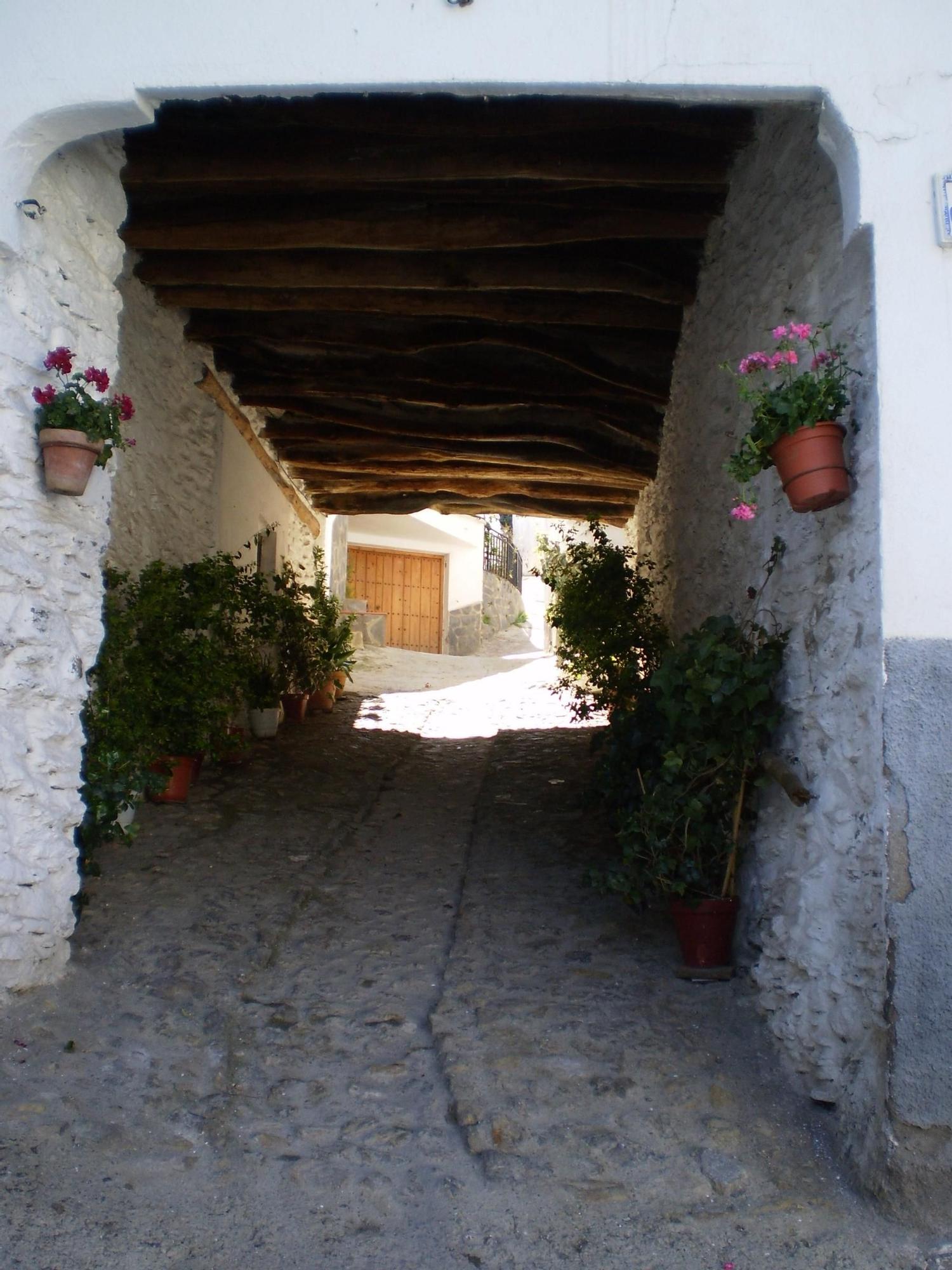 Paseando por Bérchules