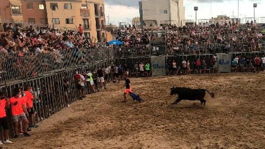 Los aficionados a los ‘bous’ volvieron ayer a disfrutar de actos taurinos en la primera jornada de la feria de Nules.