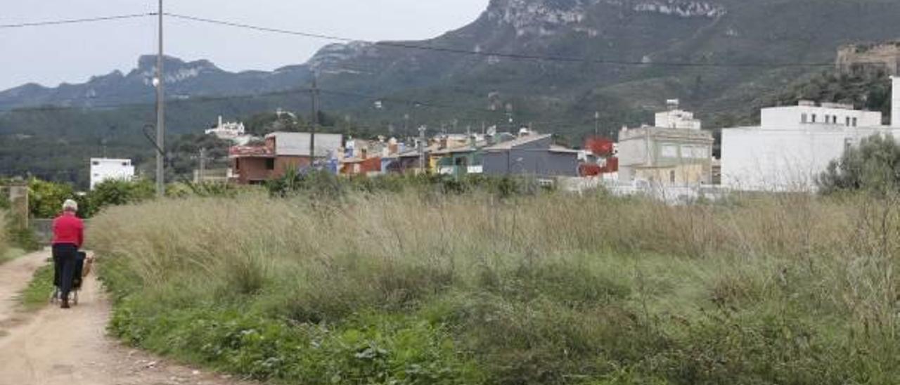 Algunos de los terrenos en los que intervenía el PAI, a la entrada de Corbera.