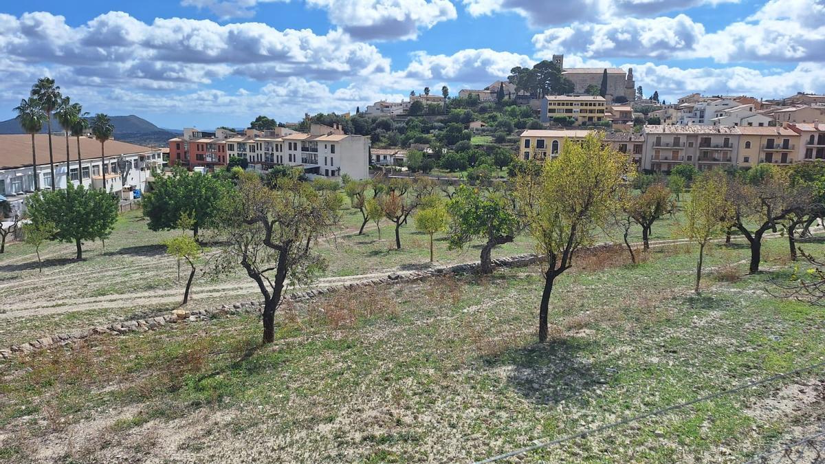 Terrenos de la futura escuela pública de Selva que quiere comprar el Ayuntamiento.