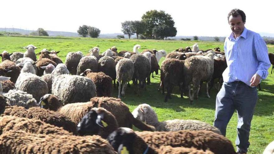 Rafael Lobato tras soltar, anteayer, el ganado hacia el campo.