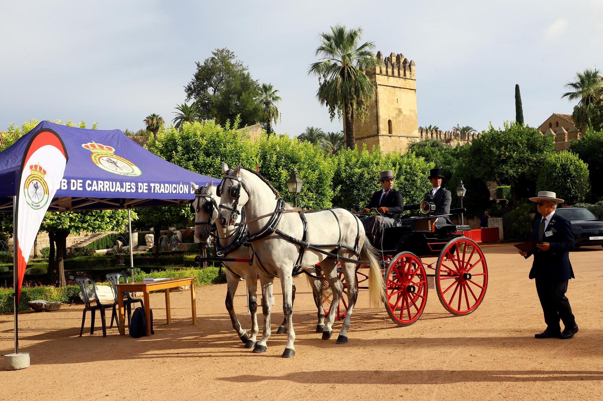 El carruaje reina en Córdoba