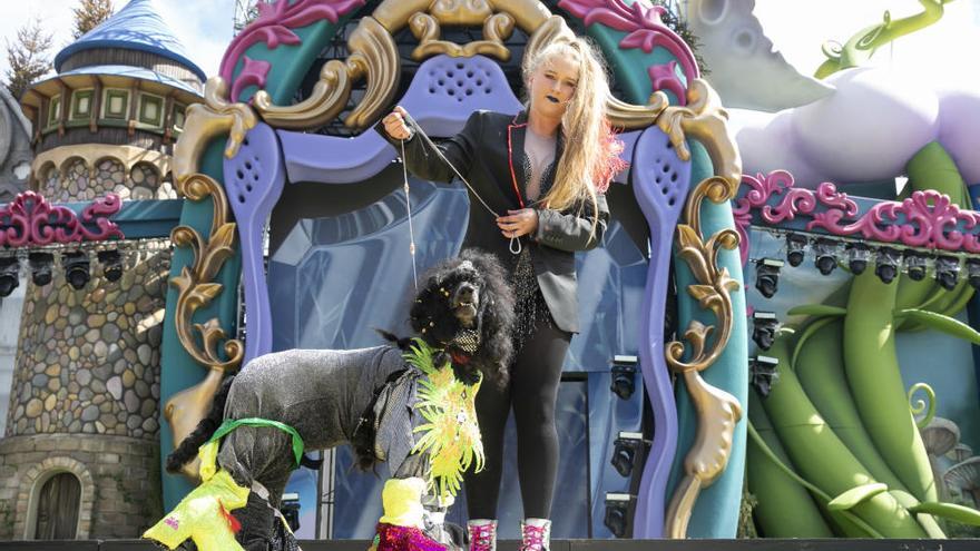 Carnaval canino de Las Palmas de Gran Canaria