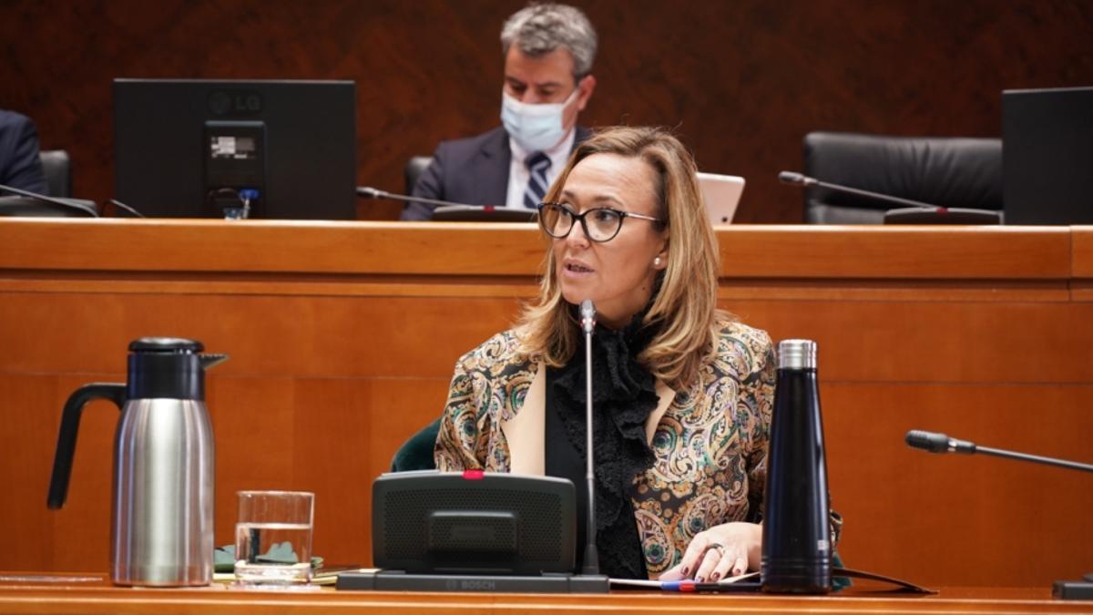 La consejera de Presidencia, Mayte Pérez, ayer en las Cortes de Aragón.