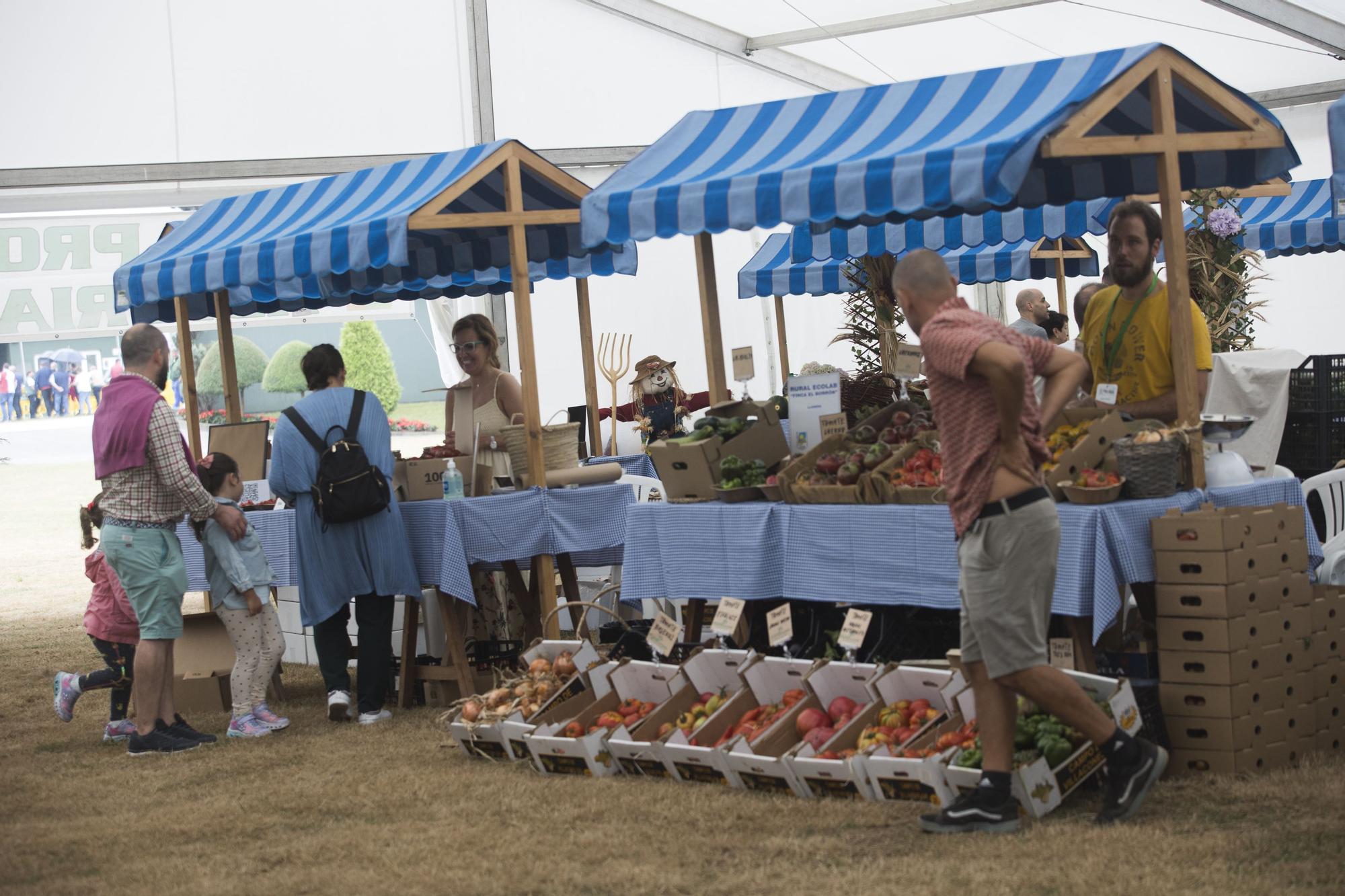 Feria Agroalimentaria de Productos Ecológicos de Llanera y Certamen Concurso Ganadero