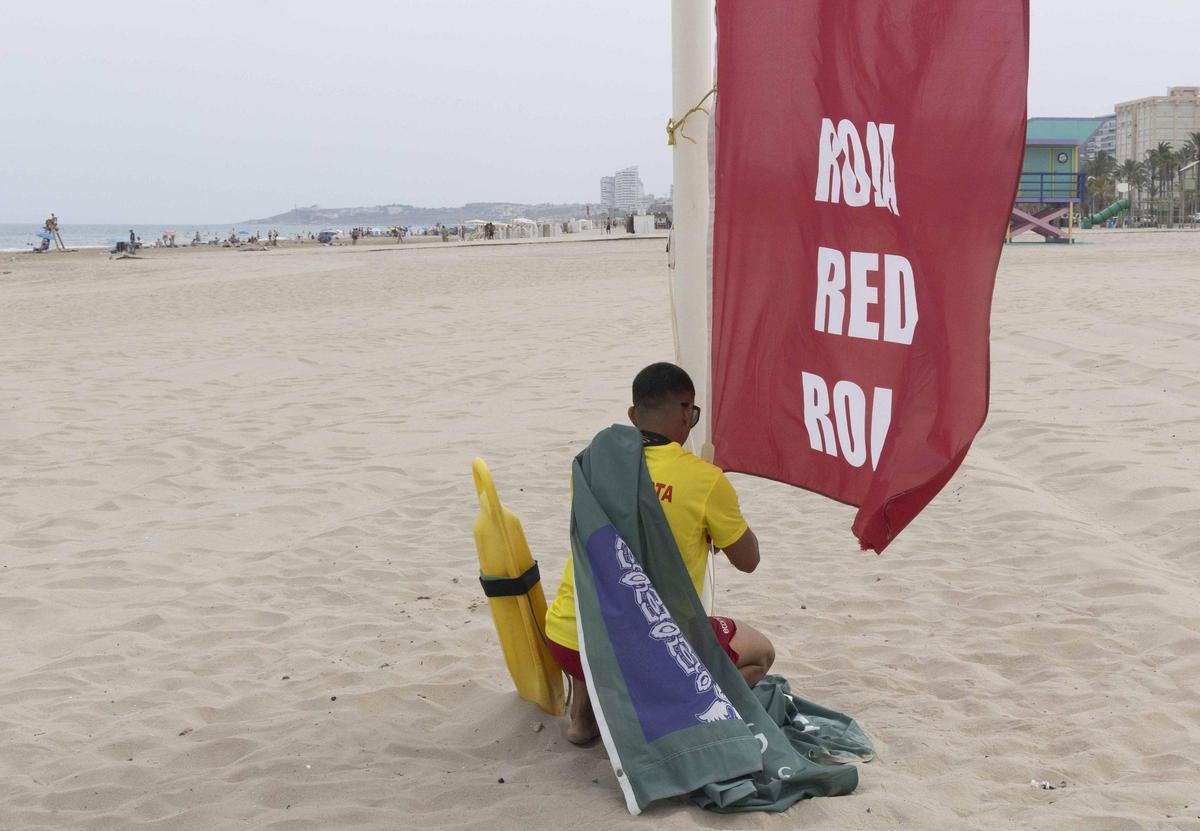 Bandera roja en la playa de San Juan en Alicante: los socorristas obligan a los bañistas a salir del agua por la alerta de viento