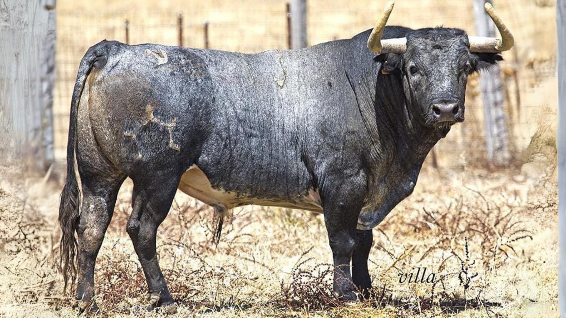 Mié 22 - Colombiano, Nº13 · G-0 (Partido Resina) by A.C.T Pañuelito Verde (1).png