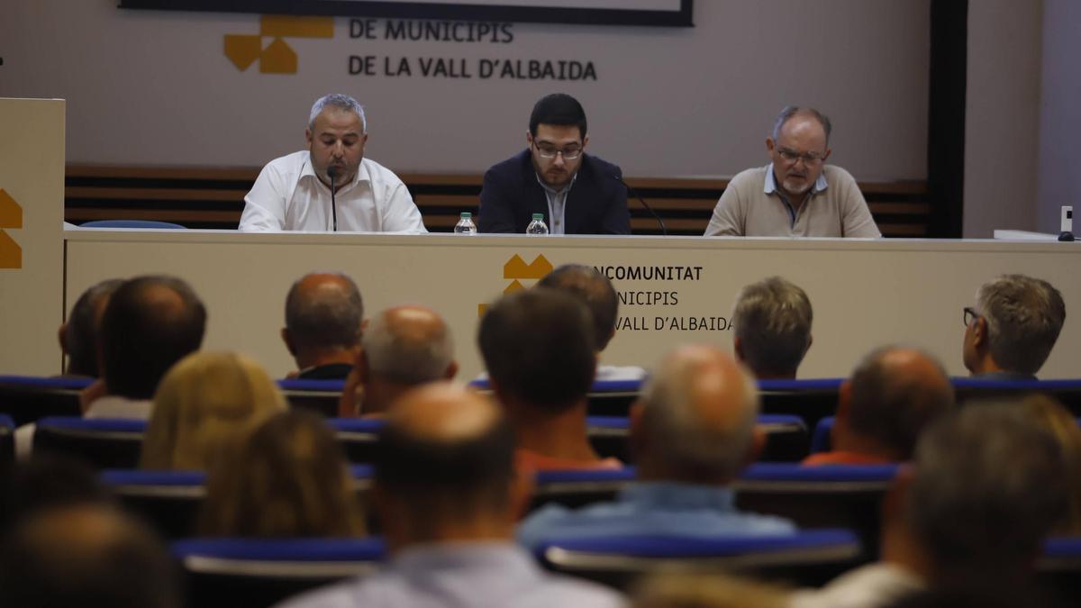 Pleno de elección de la presidencia de la Mancomunitat de la Vall d'Albaida