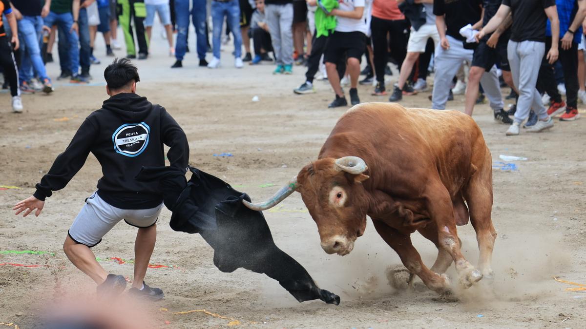 Fotos de la tarde taurina del jueves de las fiestas de Sant Pasqual en Vila-real
