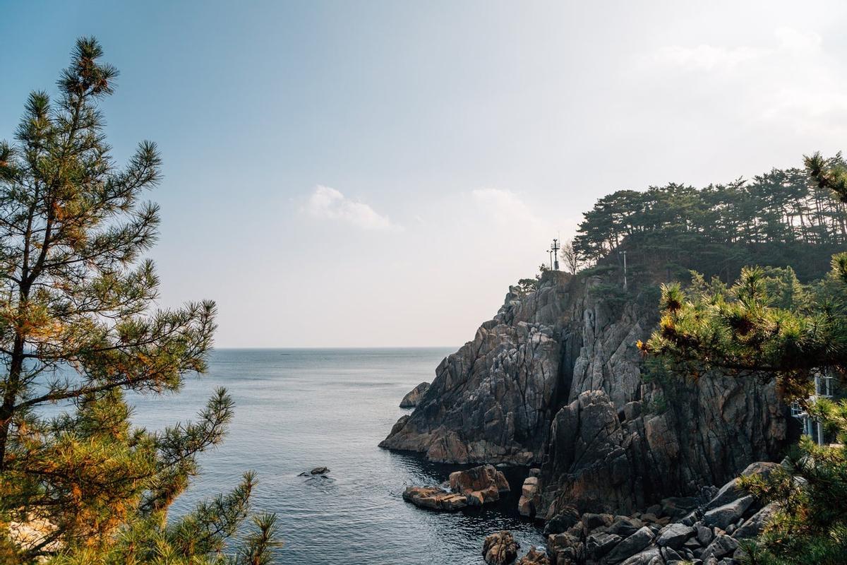 Surf, Corea del Sur