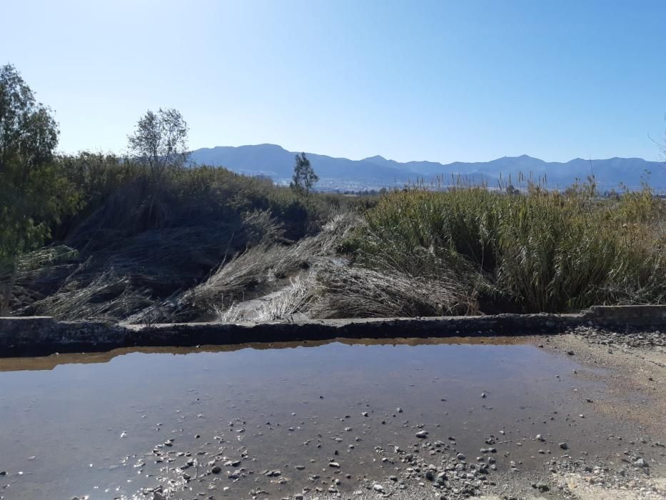 Mismo tramo espués de la riada, el agua tuvo que romper la barrera de malezas subiendo el nivel del rio.