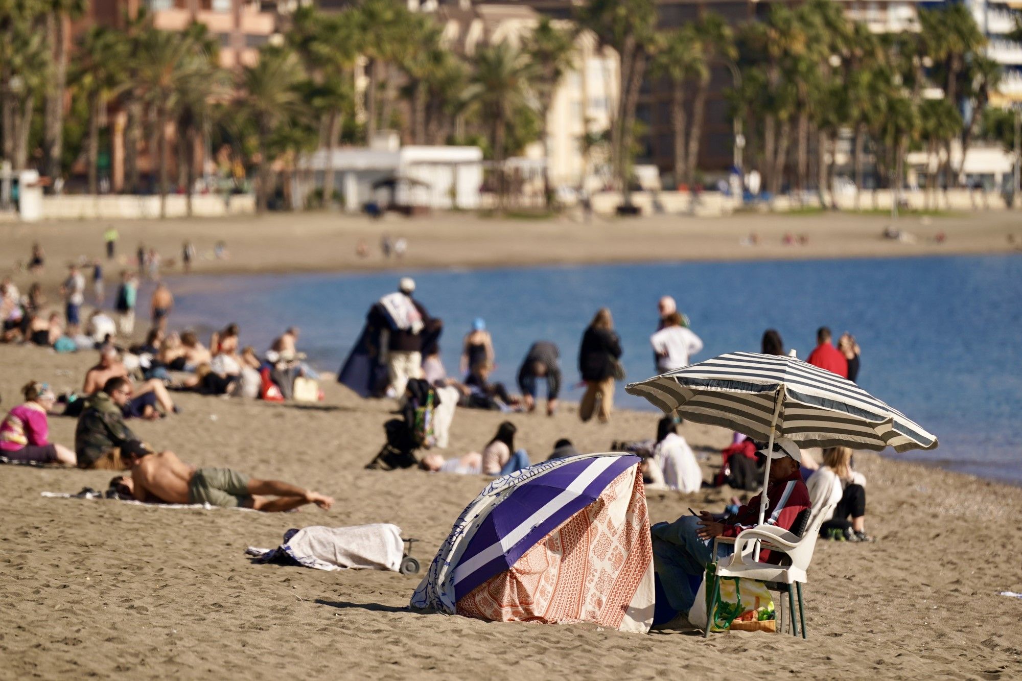 La Navidad en Málaga inspirada en la del hemisferio sur