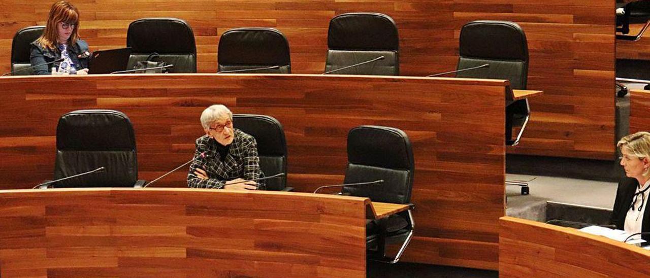 La consejera Carmen Suárez, ayer durante su comparecencia en la Junta General del Principado.