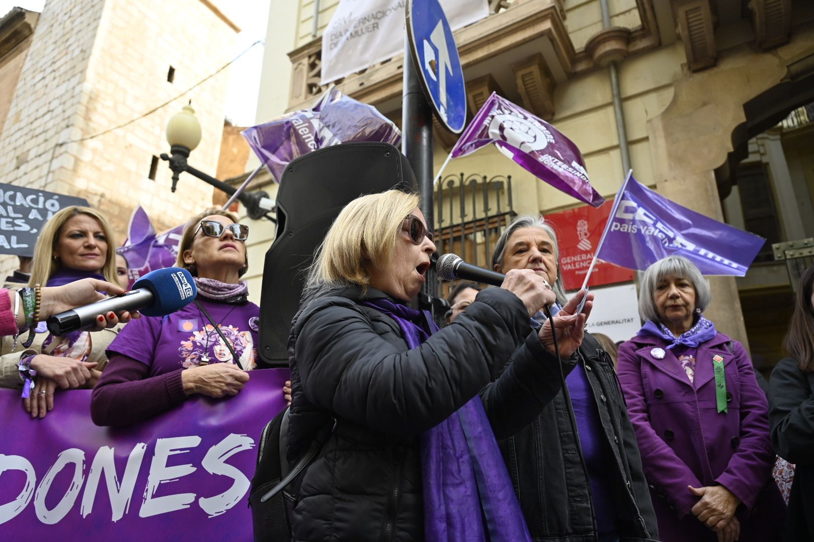 Galería: Castelló se reivindica por el 8M