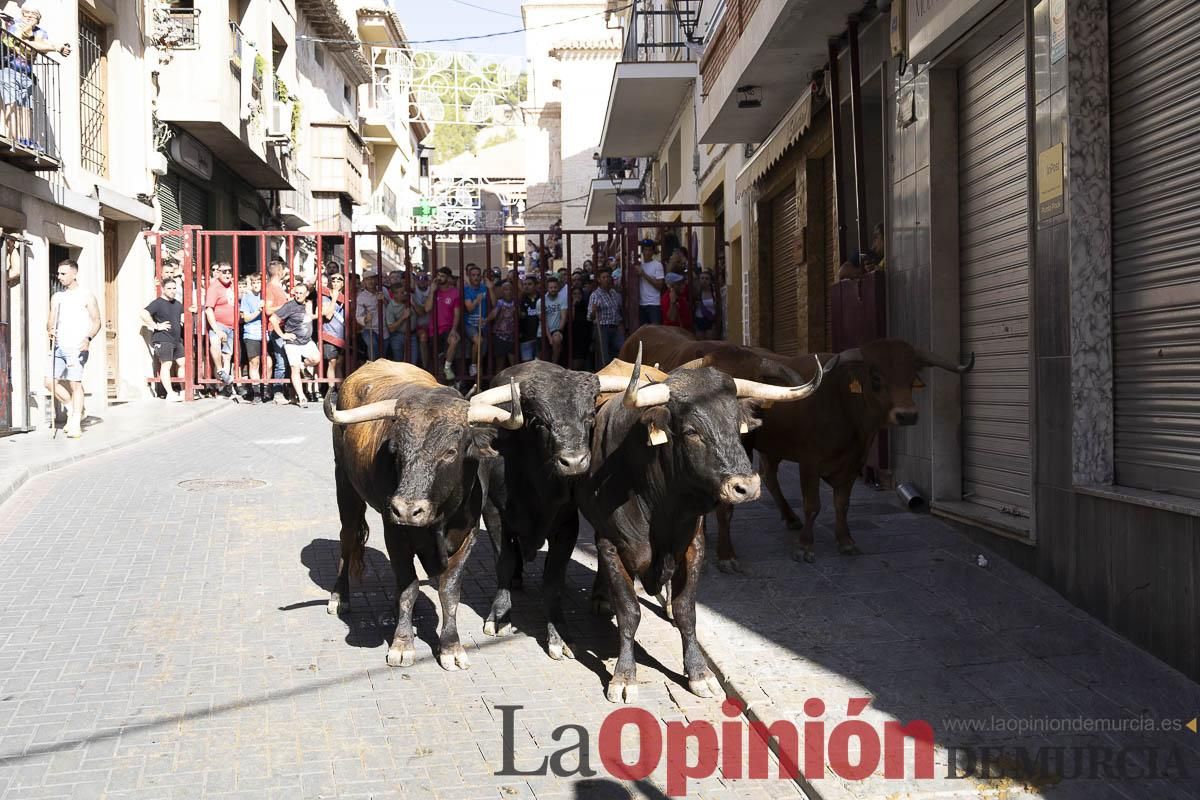 Tercer encierro de las Fiestas de Moratalla
