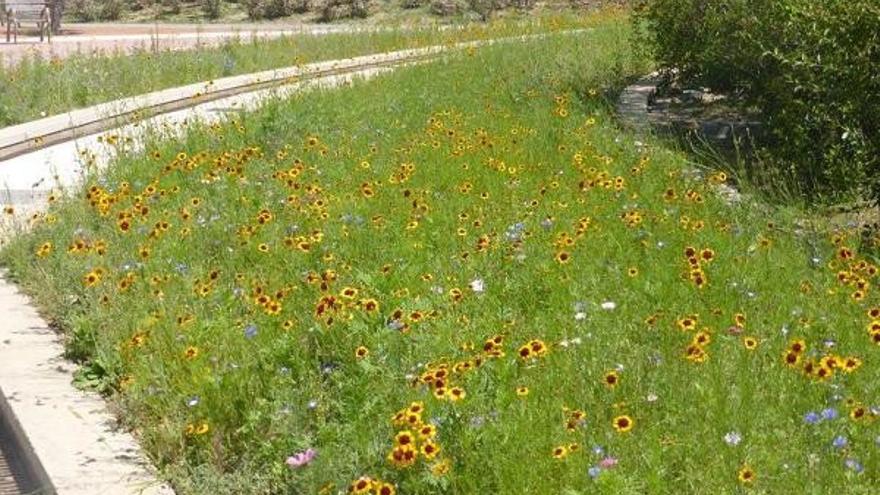 Una de las zonas de Huesca donde se ha aplicado parte del proyecto.