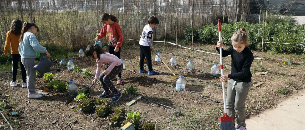 Muchos centros escolares ya trabajan la educación ambiental de forma transversal. | M.A. MONTESINOS