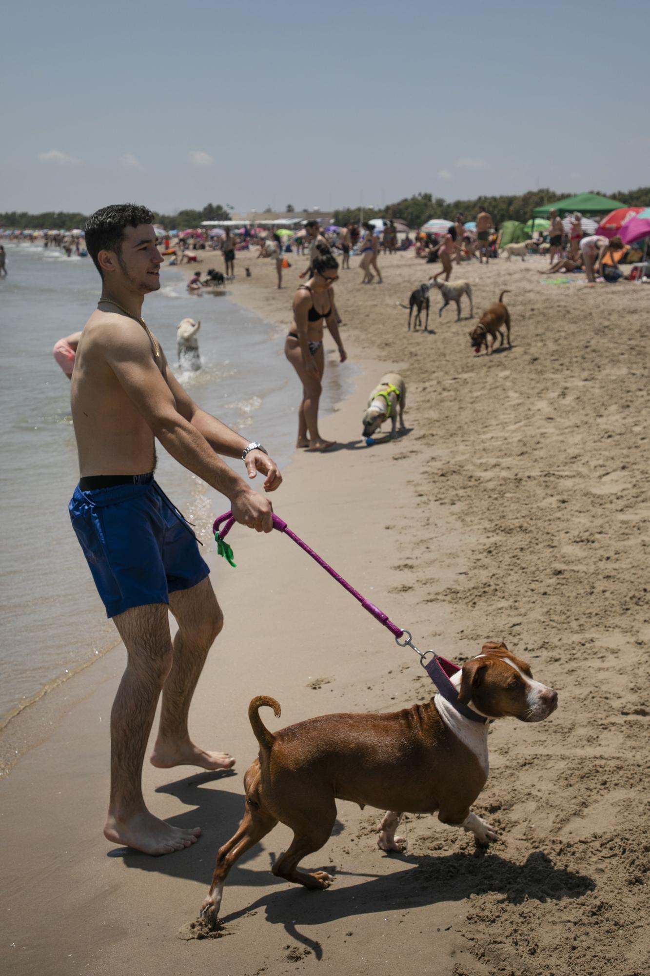 Playa canina de Pinedo