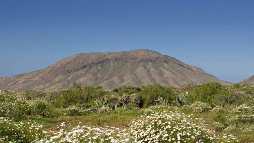 Montaña de Guaza.