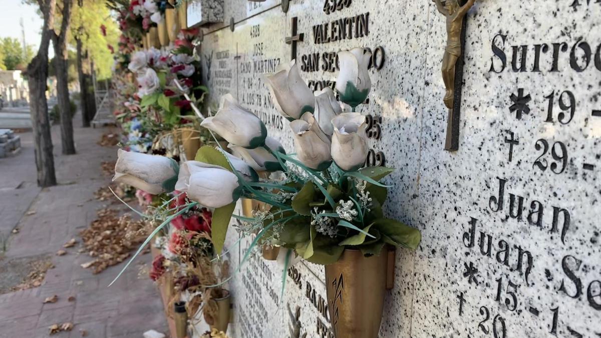 Solicitan cerca de 6.800 citas para acudir al cementerio de Palma por Todos los Santos