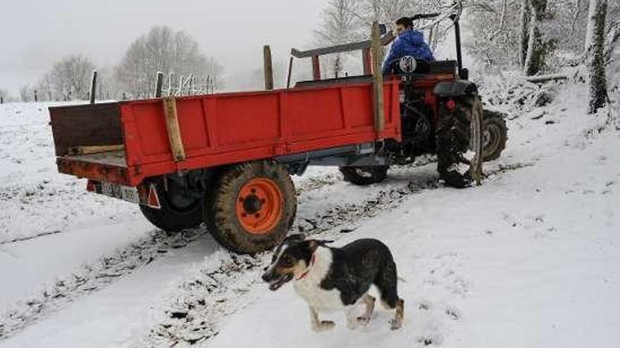 Un tractorista en un camino nevado (archivo). // Brais Lorenzo
