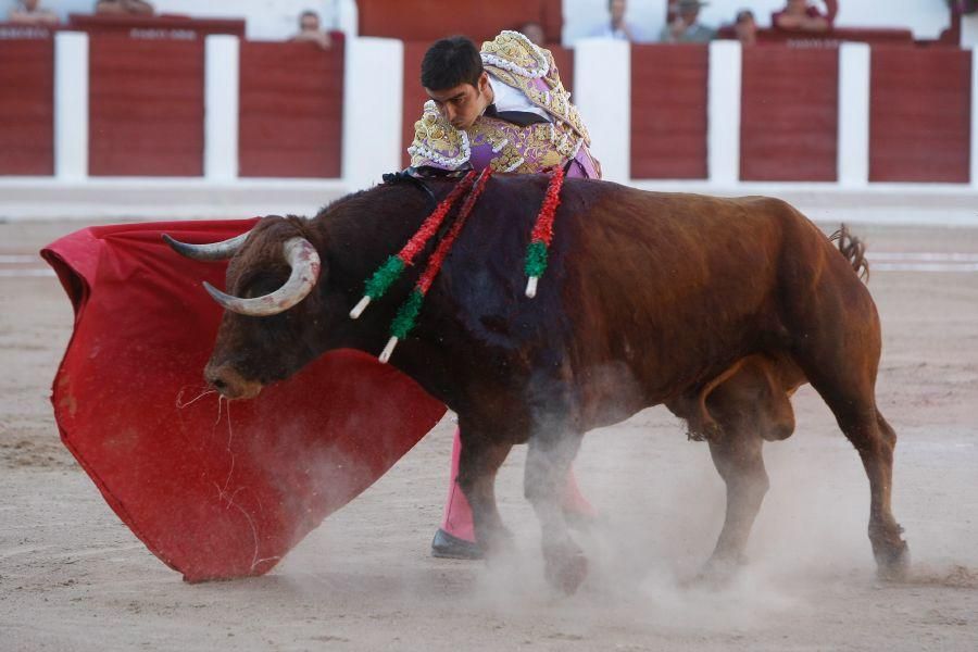 Toros en Zamora