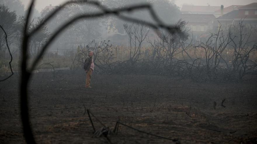 Un vecino observa el efecto del fuego en Carballeda de Avia (Ourense). // Brais Lorenzo