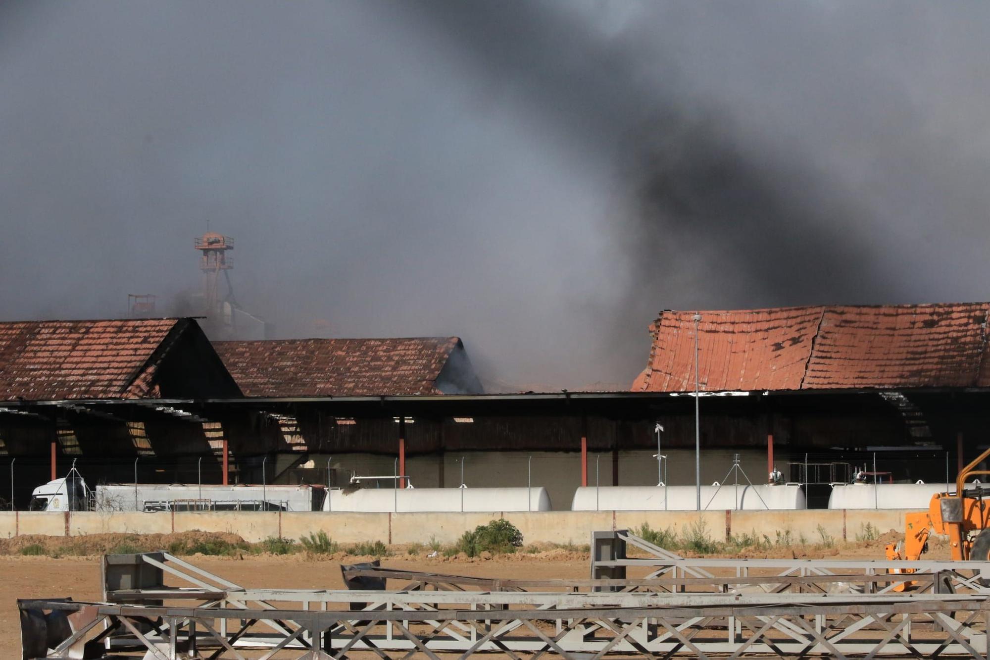 GALERÍA | El día después del incendio en Cobadu