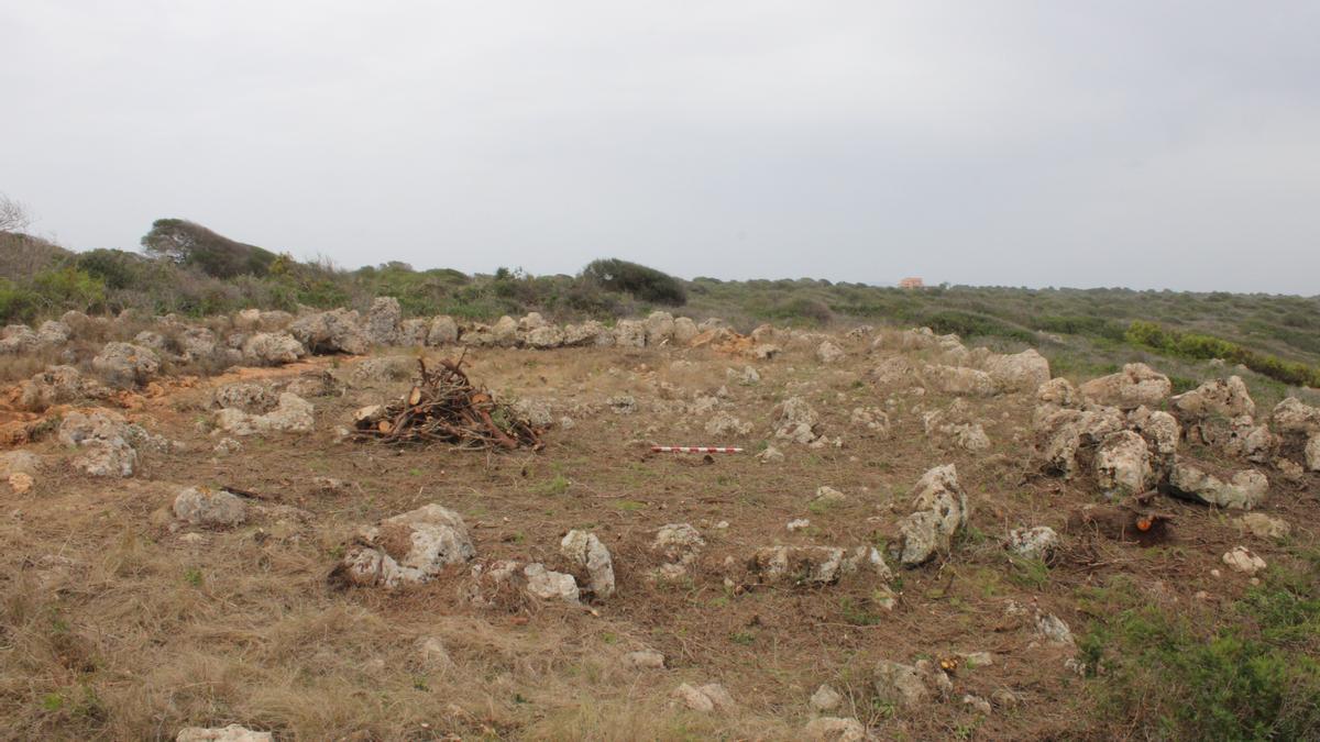 Imagen de una de las estructuras localizadas en el yacimiento de sa Ferradura.