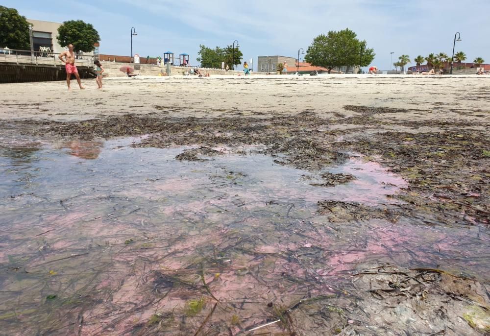 La playa de Bouzas, bañada por un manto rosado