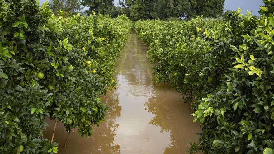 La lluvia inunda Alzira y otras localidades de la Ribera