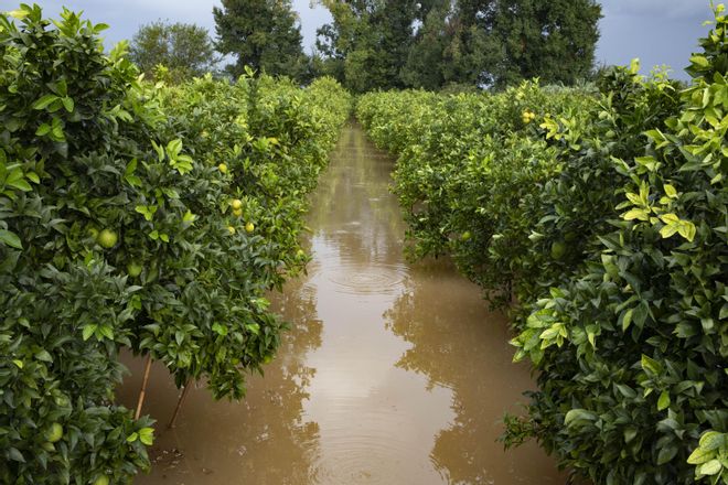 La lluvia inunda Alzira y otras localidades de la Ribera
