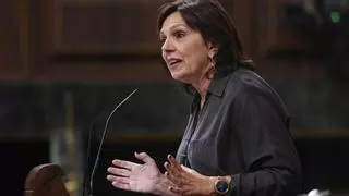 La comisión de la Dana echa a andar en el Congreso con las comparecencias de Mazón y Feijóo en el horizonte
