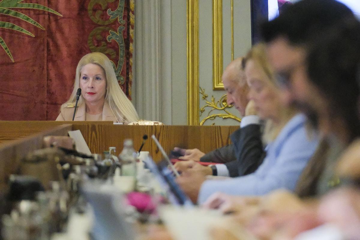 Pleno extraordinario del Ayuntamiento