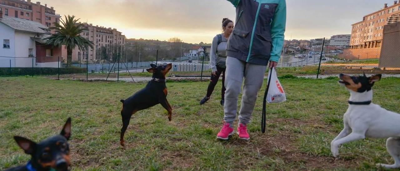 Cristina Osete y Patricia Martínez, con sus mascotas ayer en el parque canino de Valgranda.