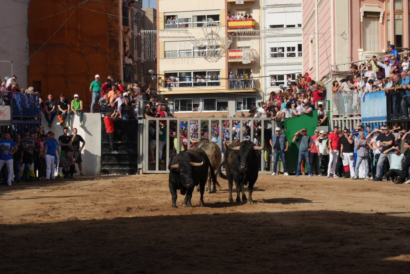 Las mejores imágenes del encierro de  Couto de Fornilhos y Santa Teresa en Onda