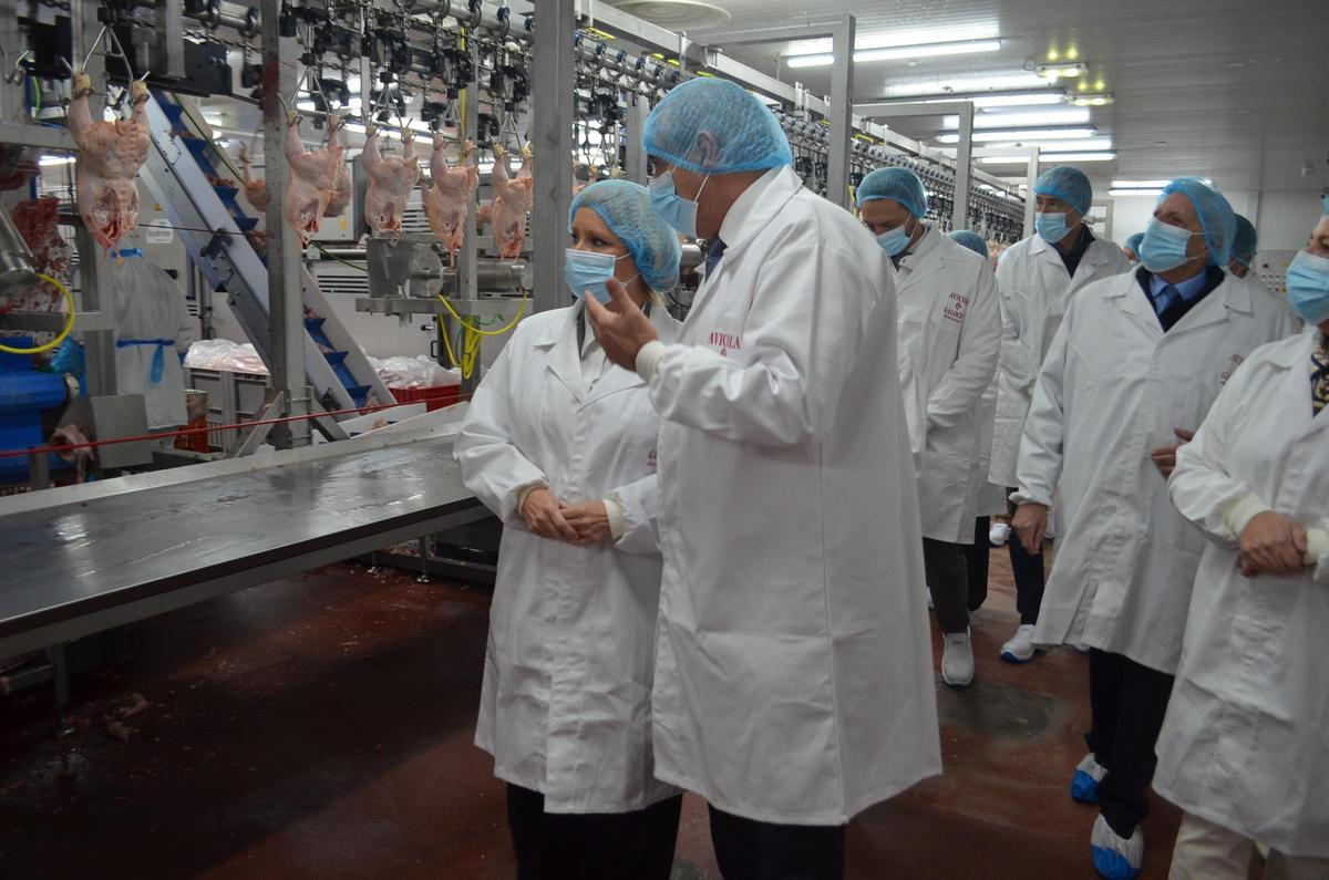 Visita a la fábrica de Avícola Galocha.