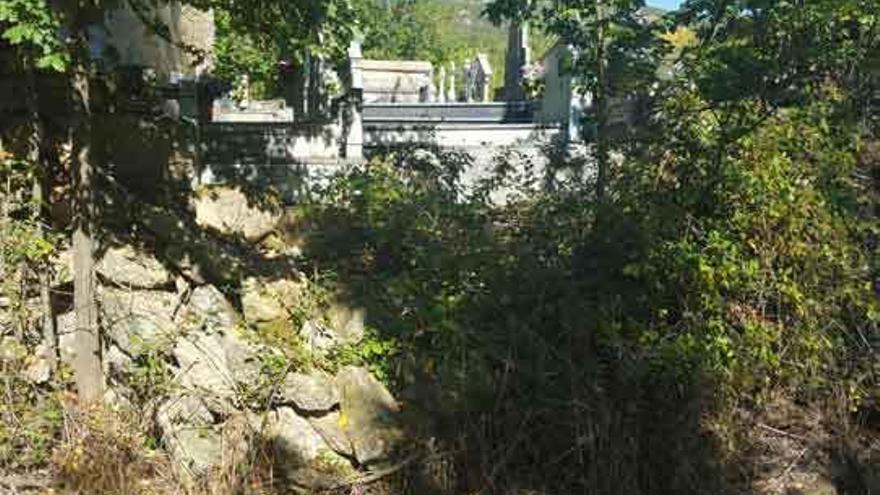 Preocupación en Carbajales de la Encomienda por el cementerio