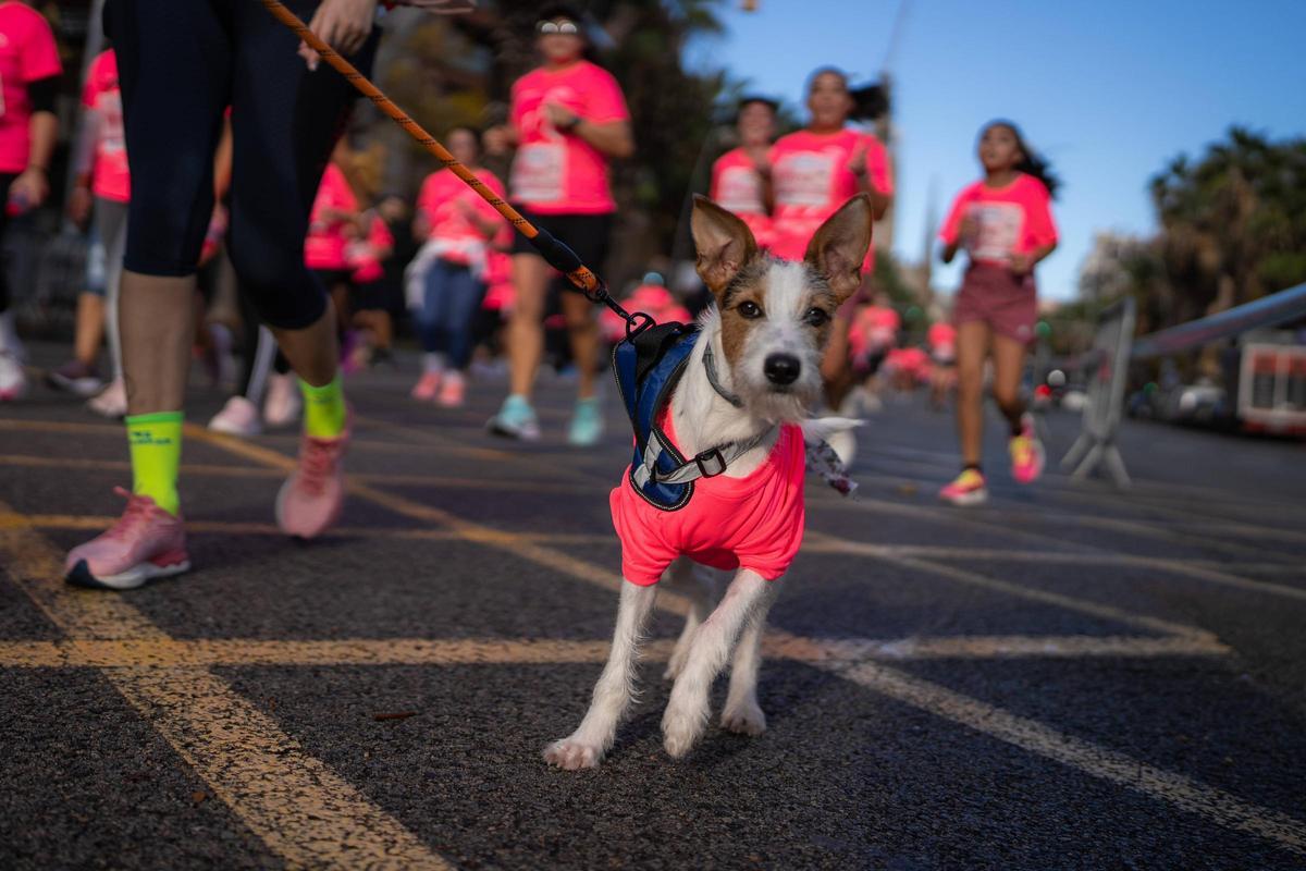 Búscate en la Cursa de la Dona: el gran evento con récord de participación y recorrido renovado