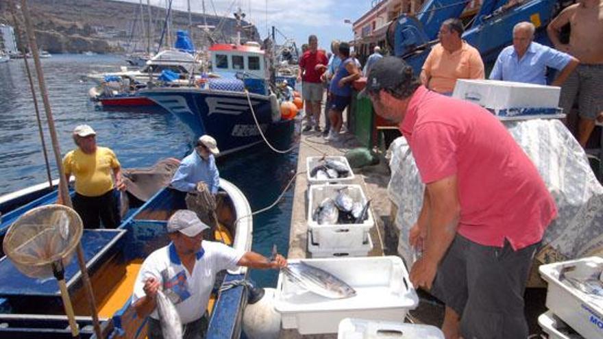 Pescadores de Mogán descargando sus capturas para su etiquetado en la cofradía sureña. i YAIZA SOCORRO