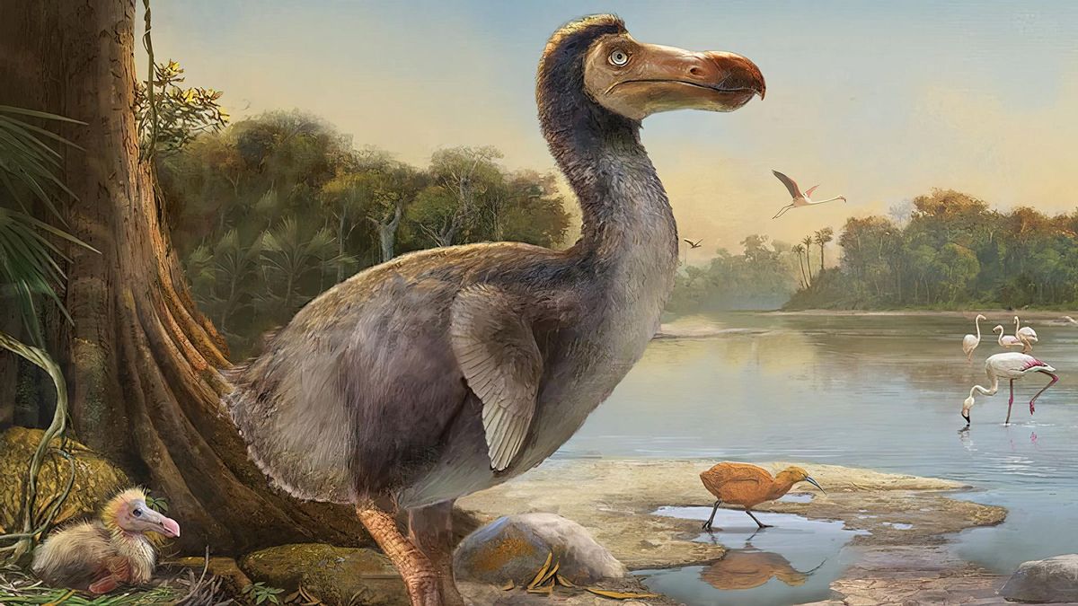 El pájaro Dodo, también aniquilado por el hombre