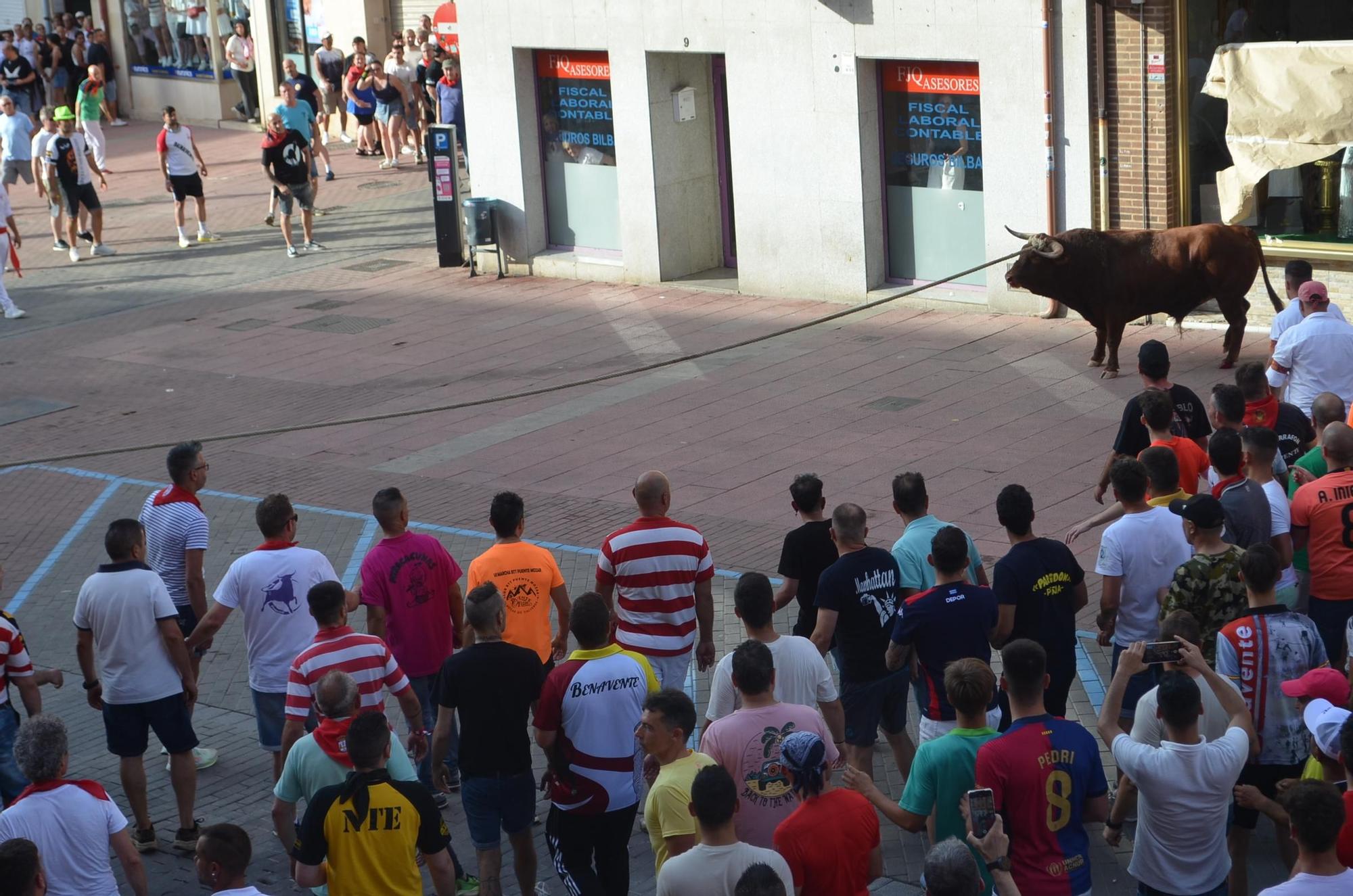 Así ha sido la carrera del torito Espléndido en Benavente