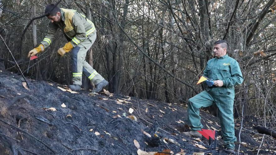 Agentes investigan sobre el terreno el origen de un incendios // X. Álvarez