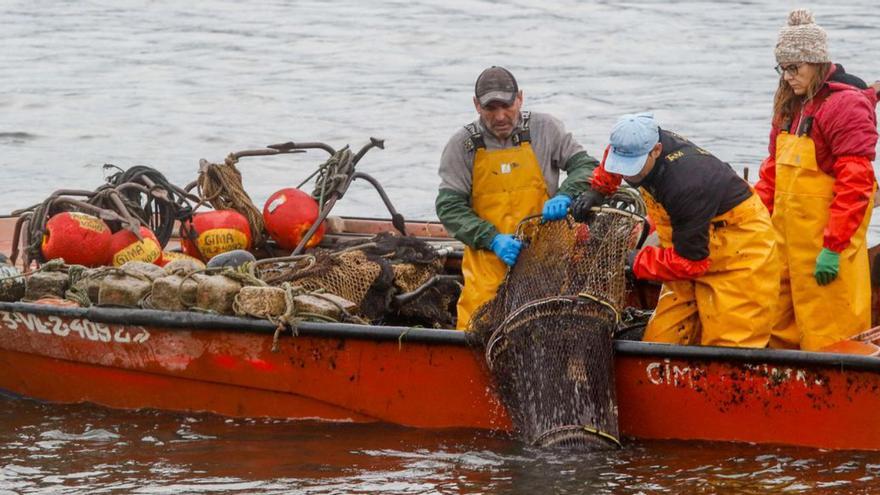 Pescadores de lamprea levantando sus nasas en el Ulla.   | //  IÑAKI ABELLA