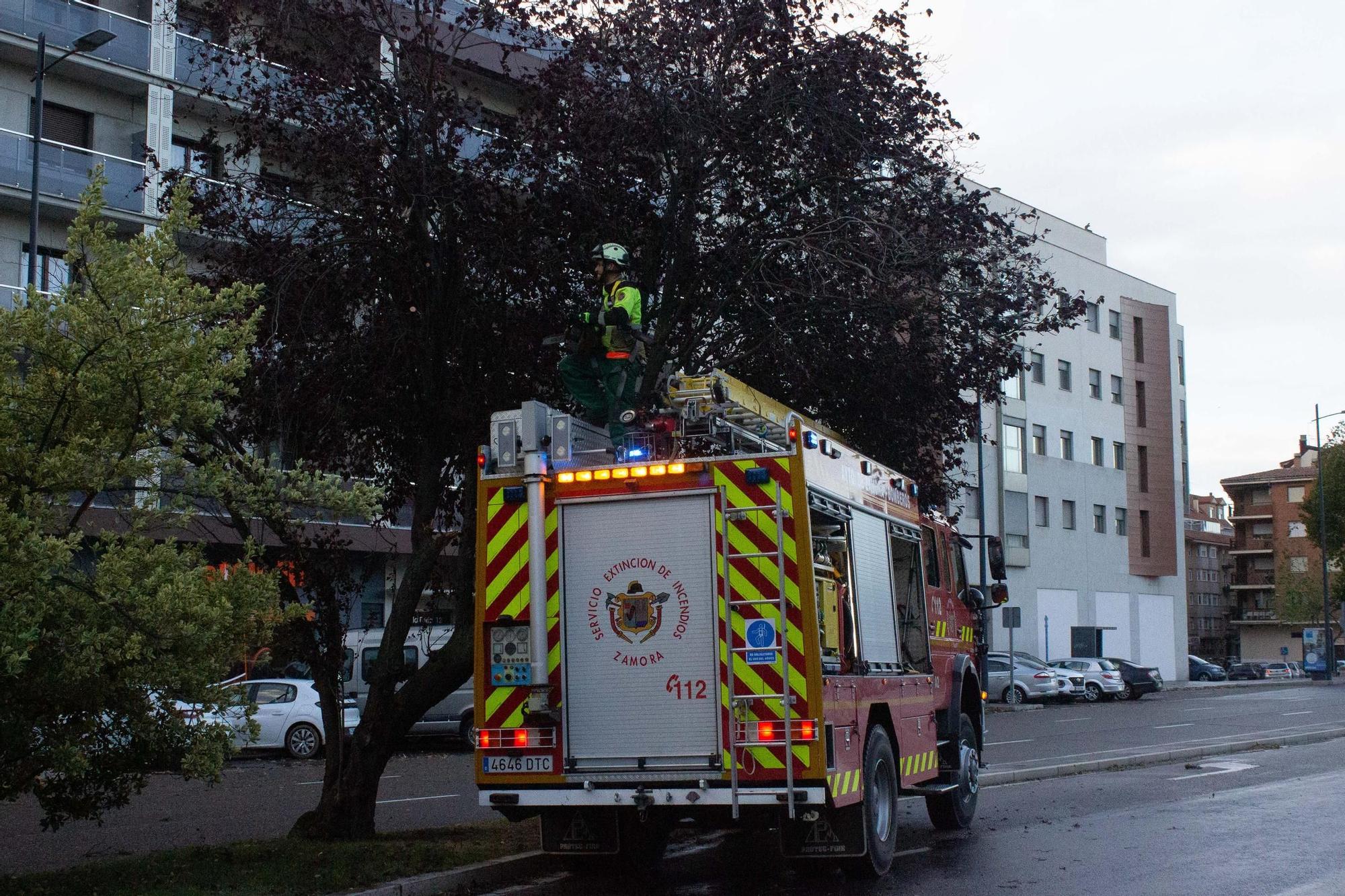 Las imágenes del temporal de lluvia por la borrasca 'Domingos' en Zamora