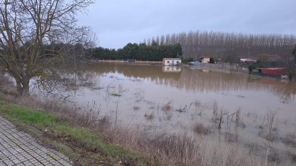 La zona de las huertas de Benavente, inundada por la crecida del Órbigo.