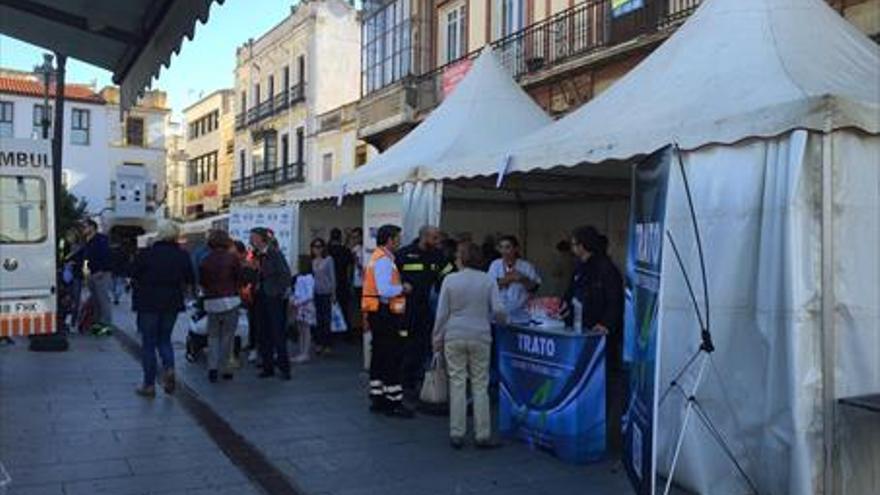 Manos frente al paro cardíaco en Mérida