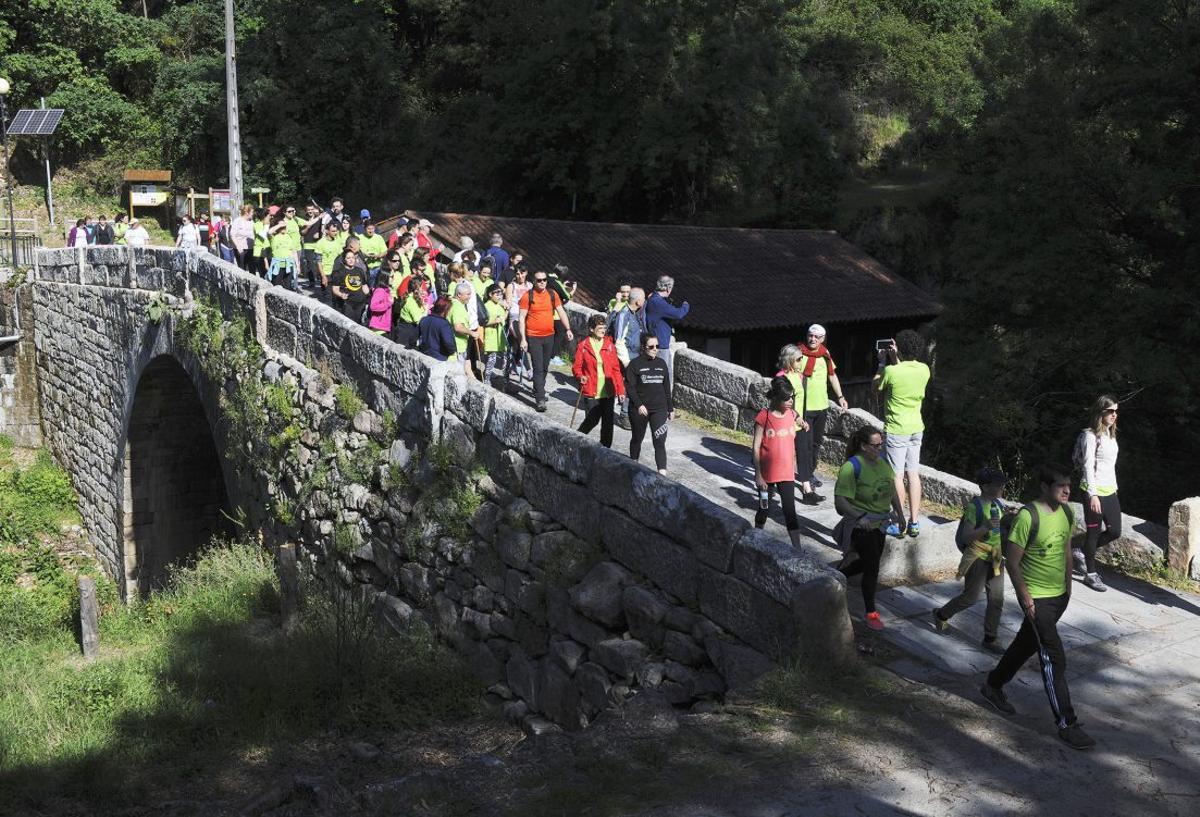 Andaina da Lamprea na VIII edición.   | // D.P.