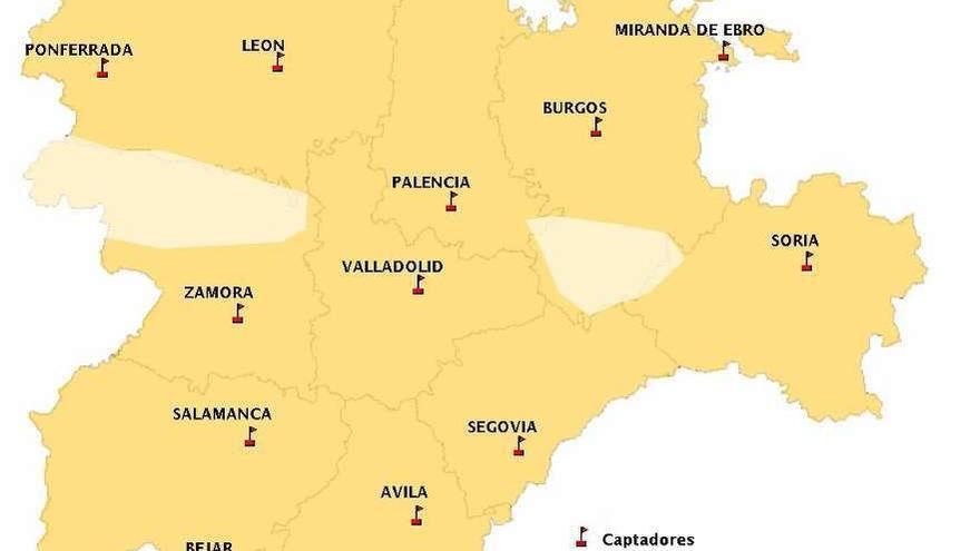 El polen de gramíneas estará en niveles moderados durante el fin de semana.